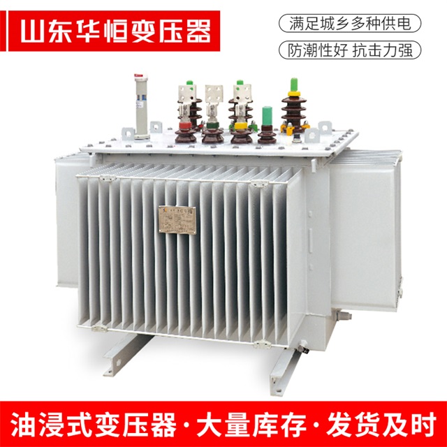 S13-10000/35漠河漠河漠河电力变压器